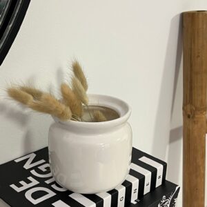 فازا سيراميك حجم صغير