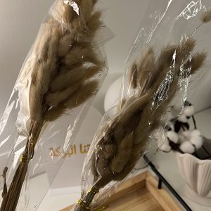 ورد لون بني