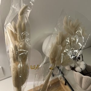 عرق ورد ابيض